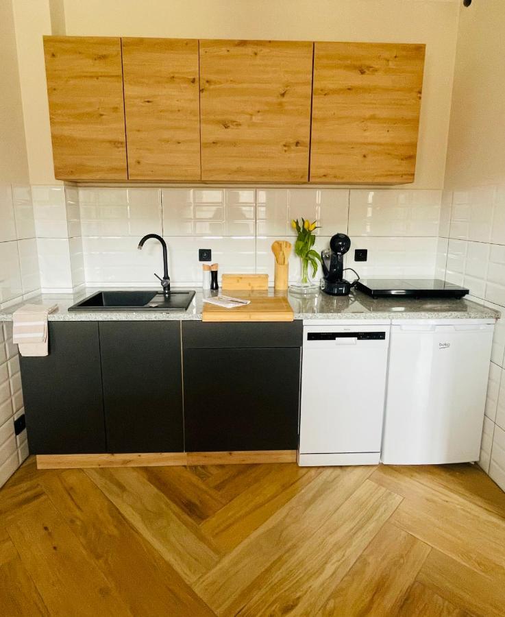 Gorska Cisza - Duzy, Komfortowy, Wyjatkowy Apartament Stronie Slaskie Ngoại thất bức ảnh