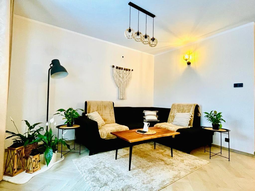 Gorska Cisza - Duzy, Komfortowy, Wyjatkowy Apartament Stronie Slaskie Ngoại thất bức ảnh