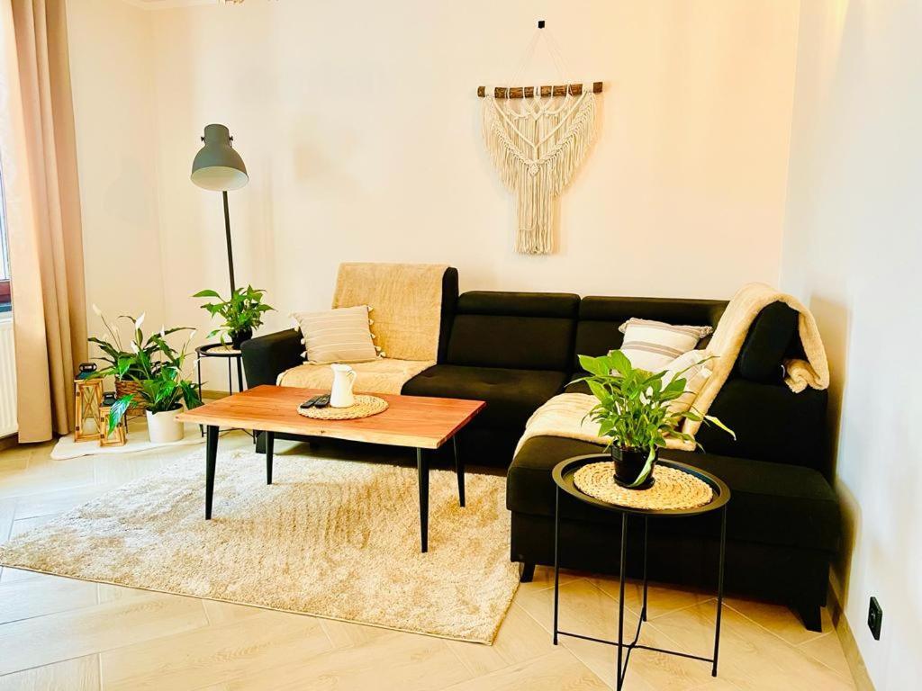 Gorska Cisza - Duzy, Komfortowy, Wyjatkowy Apartament Stronie Slaskie Ngoại thất bức ảnh