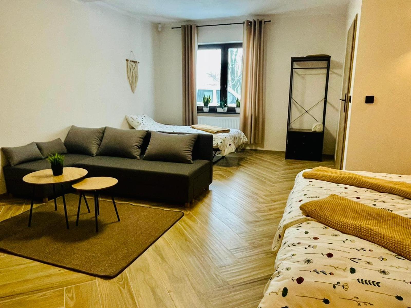 Gorska Cisza - Duzy, Komfortowy, Wyjatkowy Apartament Stronie Slaskie Ngoại thất bức ảnh