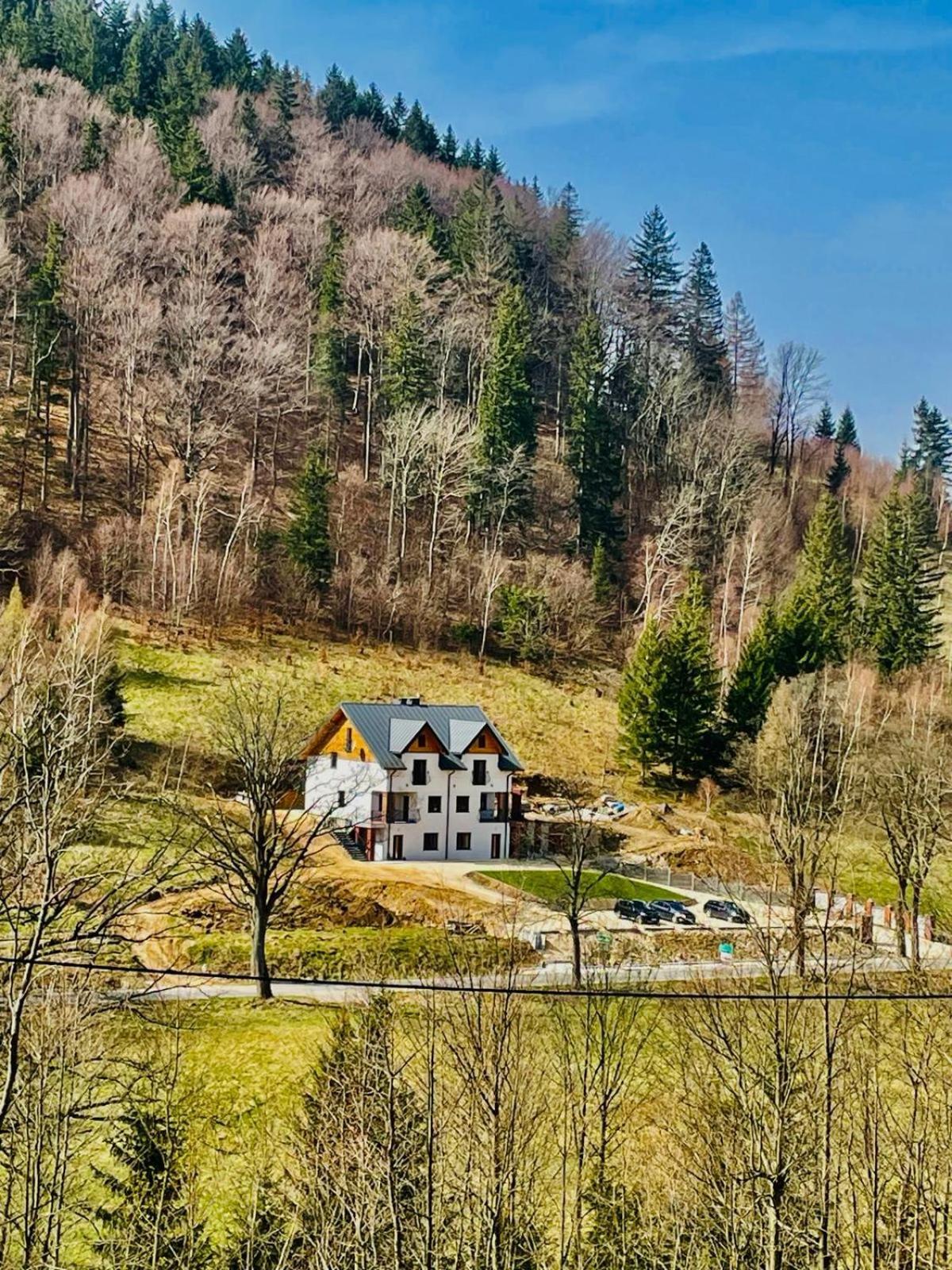 Gorska Cisza - Duzy, Komfortowy, Wyjatkowy Apartament Stronie Slaskie Ngoại thất bức ảnh
